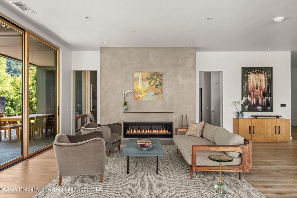 105 Willow Road 103, Basalt