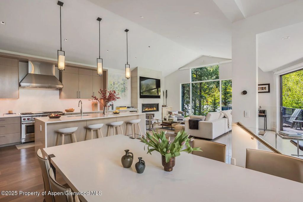 10 of 41 - 100 Park Avenue, Aspen, CO