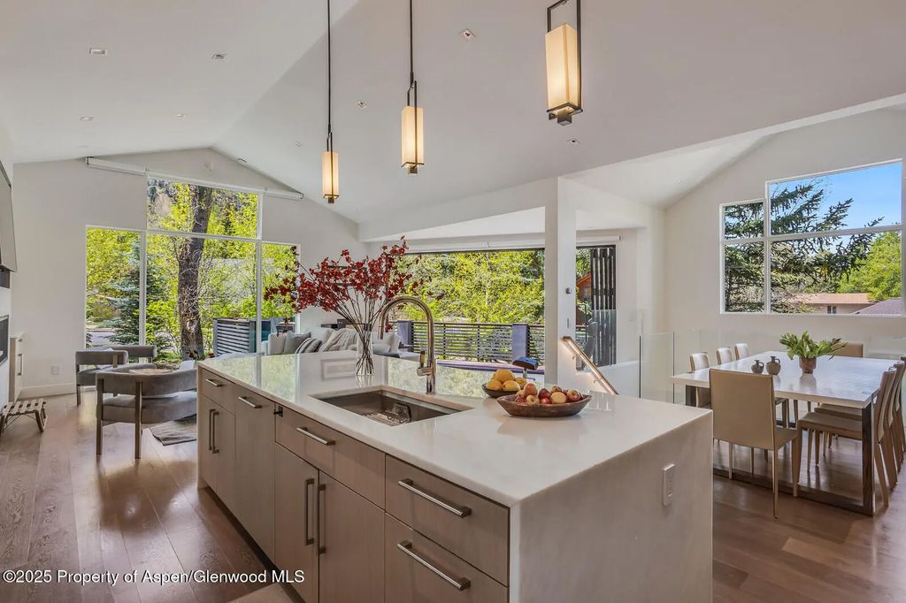 11 of 41 - 100 Park Avenue, Aspen, CO