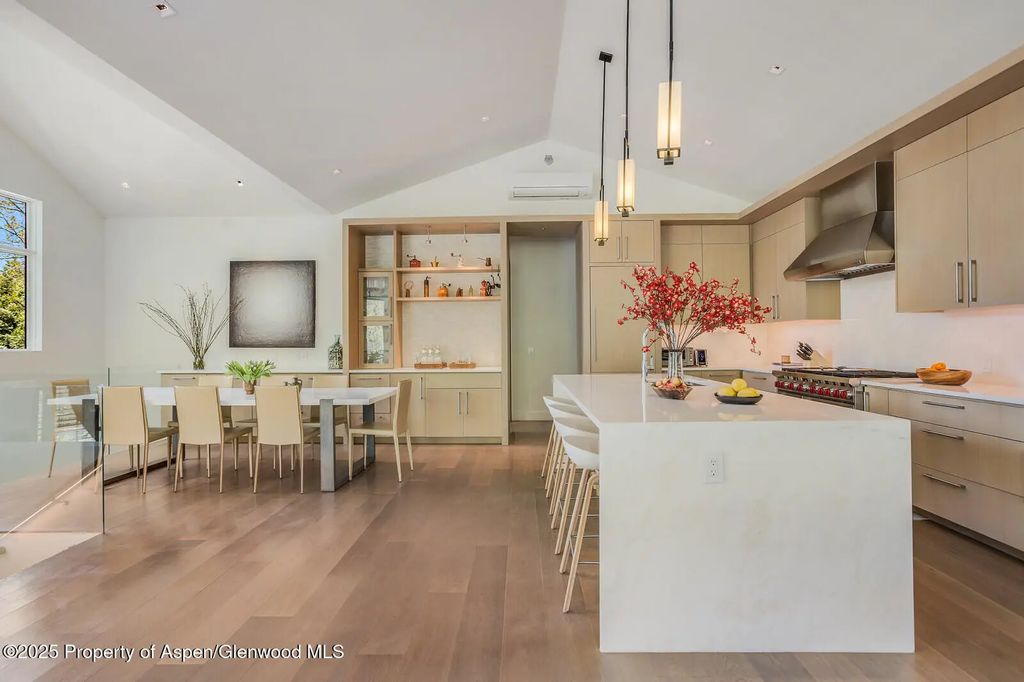 8 of 41 - 100 Park Avenue, Aspen, CO