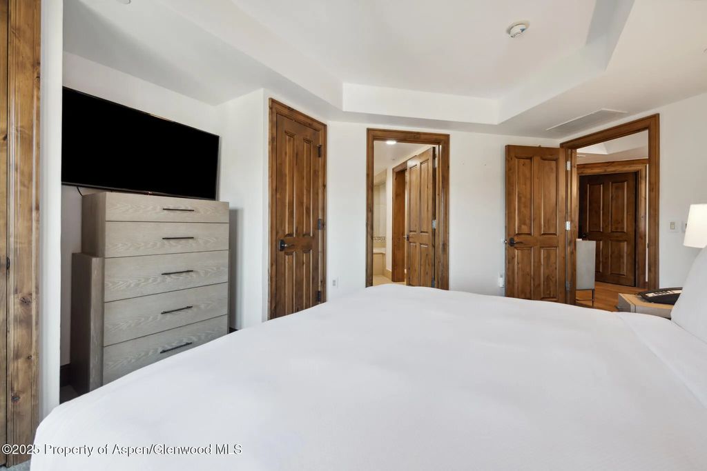 14 of 25 - 415 E Dean St, Unit 50, Week 8, Aspen, CO
