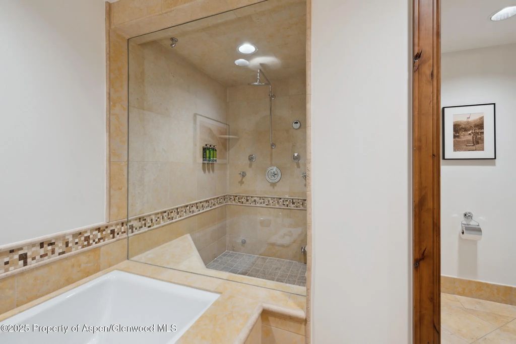 16 of 25 - 415 E Dean St, Unit 50, Week 8, Aspen, CO