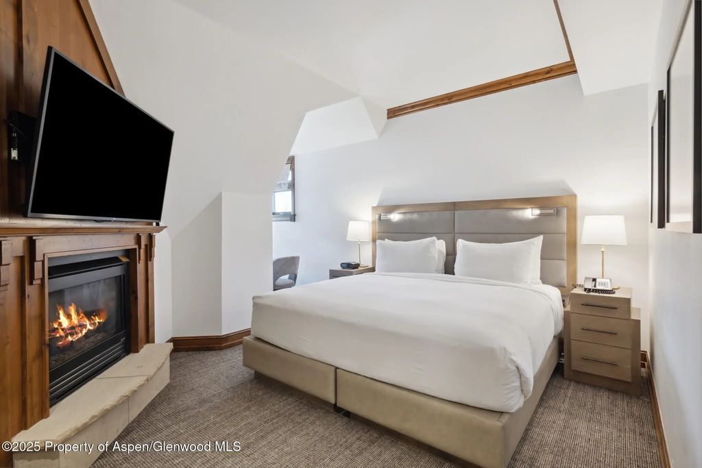 17 of 25 - 415 E Dean St, Unit 50, Week 8, Aspen, CO