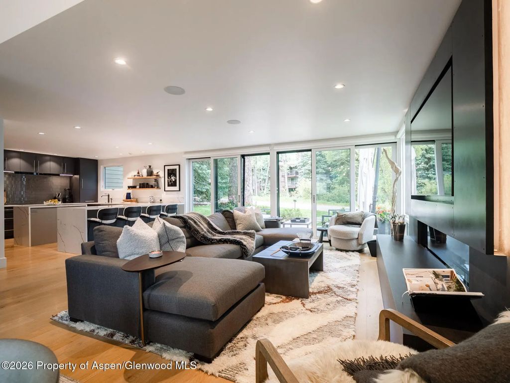 314 N Riverside Avenue 2, Aspen