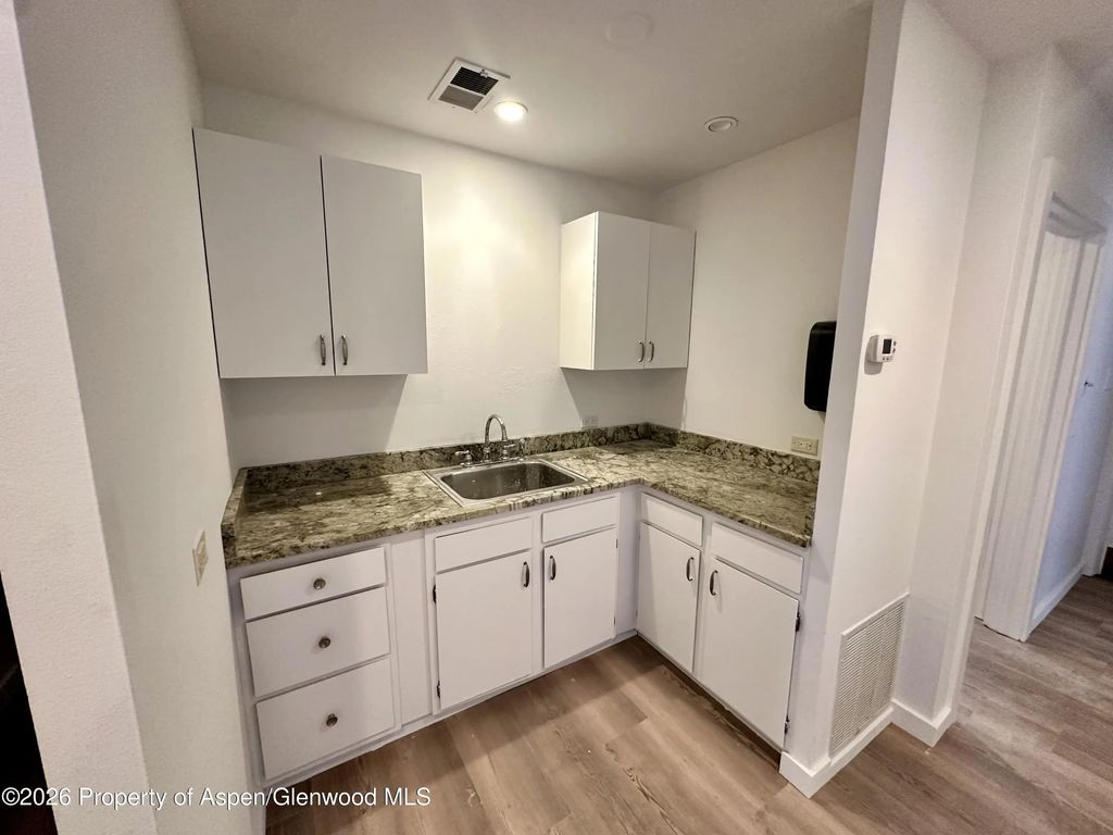 4 of 7 - 420 W Main Street 101, Aspen, CO