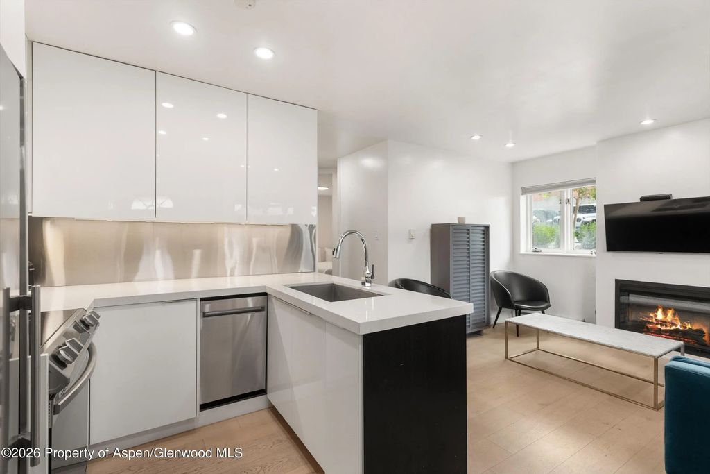 6 of 13 - 805 E Cooper Avenue 2, Aspen, CO