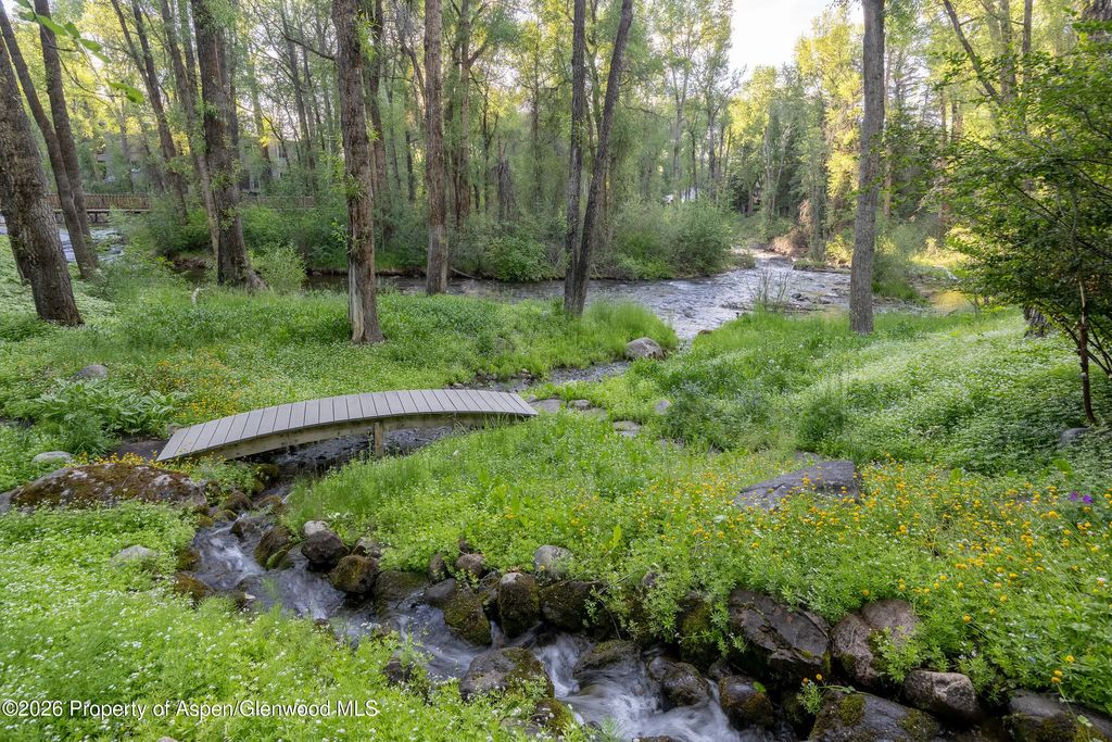 29 of 35 - 115 Neale Avenue, Aspen, CO