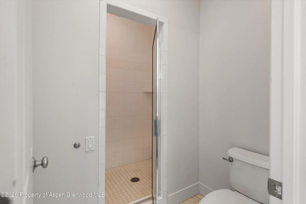 17 of 32 - 711 Evans Court, Basalt, CO