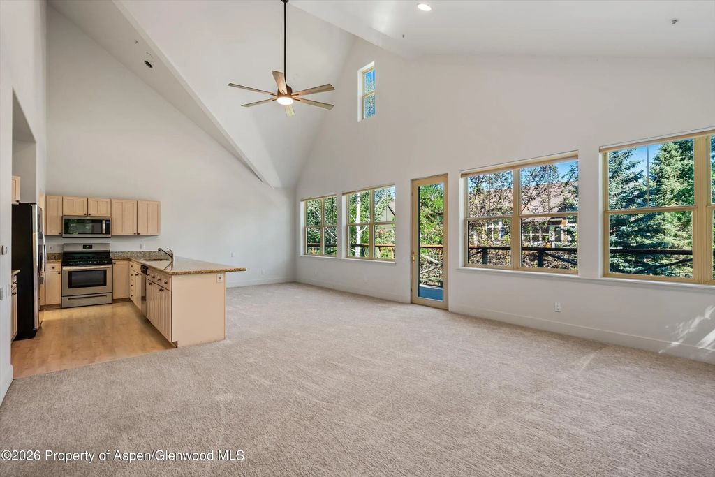 4 of 32 - 711 Evans Court, Basalt, CO