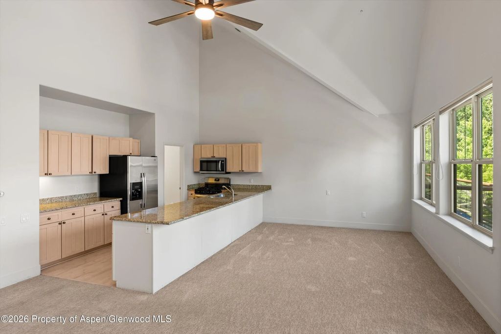 8 of 32 - 711 Evans Court, Basalt, CO