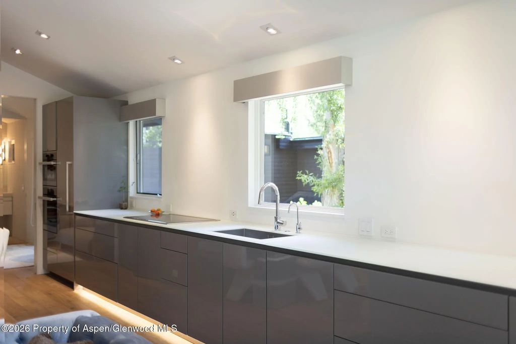 14 of 31 - 950 E Durant Avenue 4, Aspen, CO