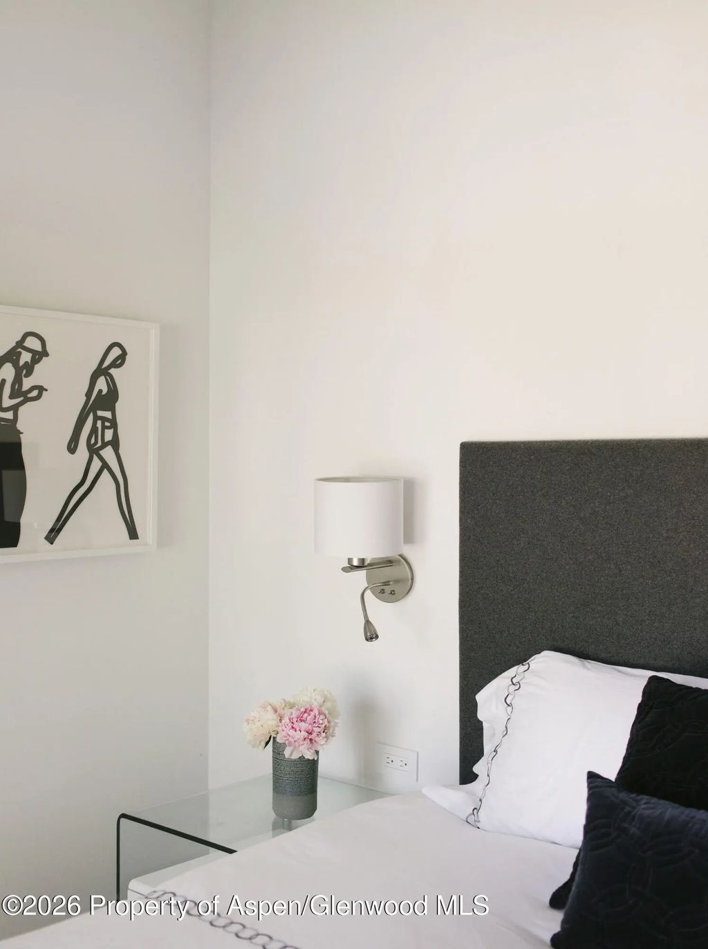 20 of 31 - 950 E Durant Avenue 4, Aspen, CO