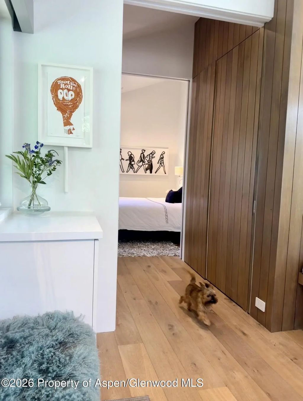 8 of 31 - 950 E Durant Avenue 4, Aspen, CO