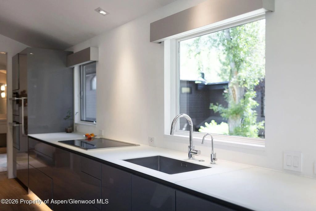 9 of 31 - 950 E Durant Avenue 4, Aspen, CO