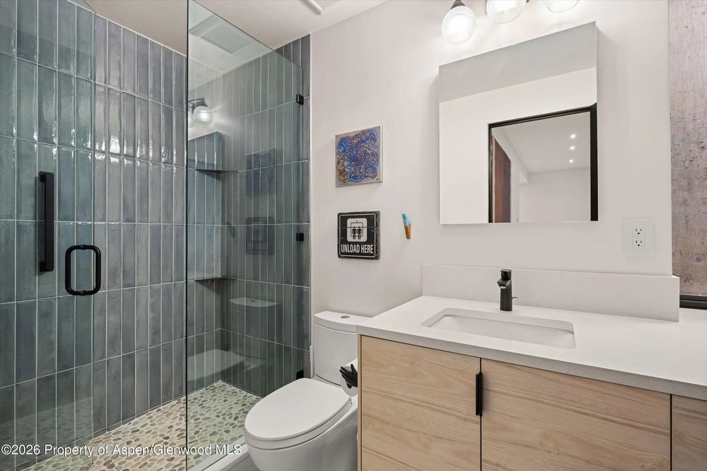 24 of 34 - 728 Euclid Avenue, Carbondale, CO