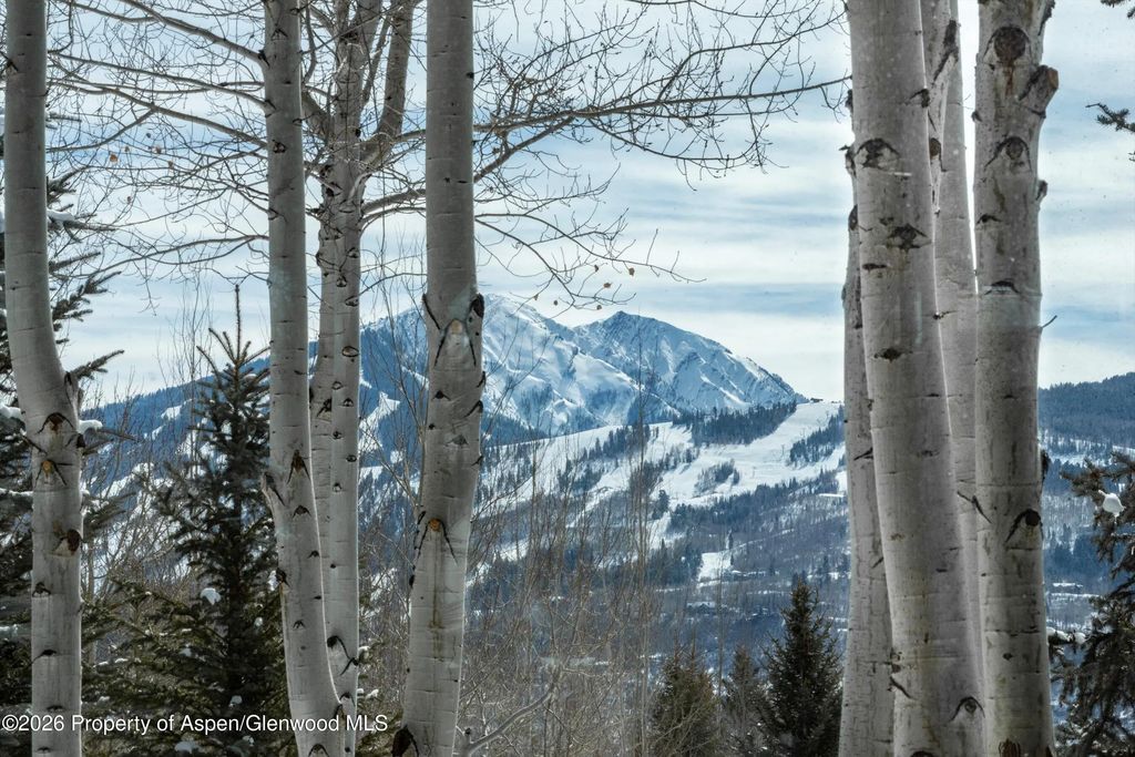 34 of 59 - 372 Sunnyside Lane, Aspen, CO