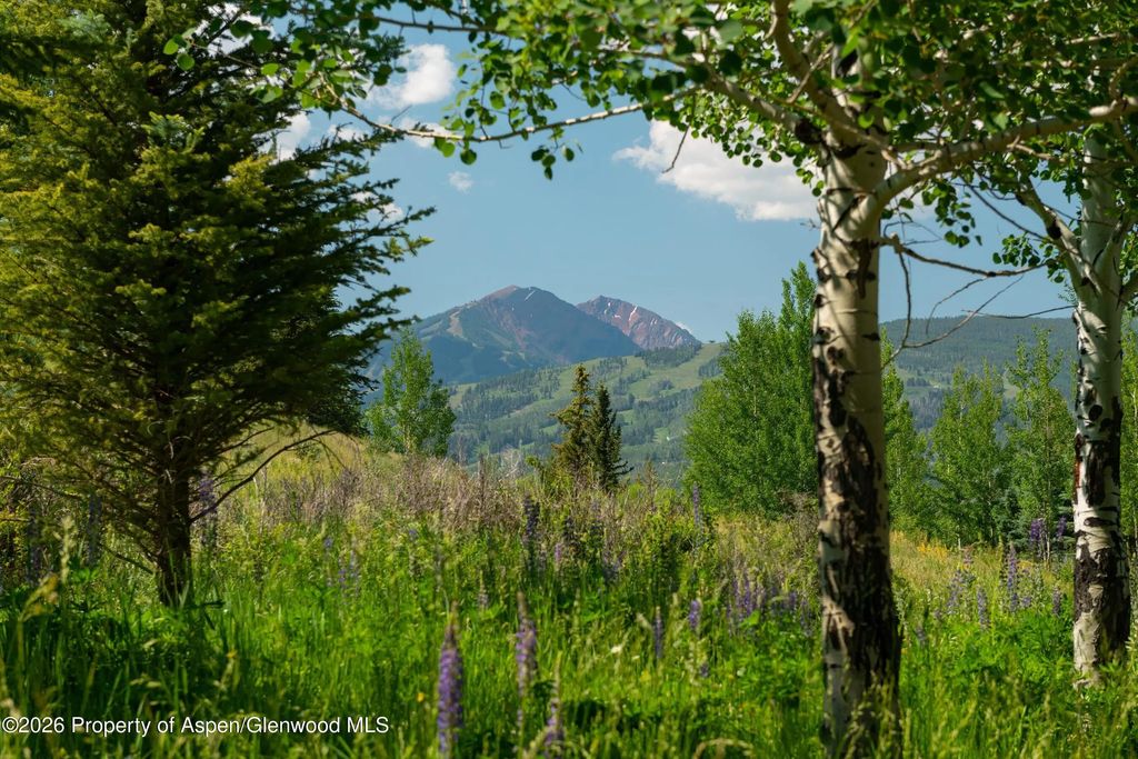51 of 59 - 372 Sunnyside Lane, Aspen, CO