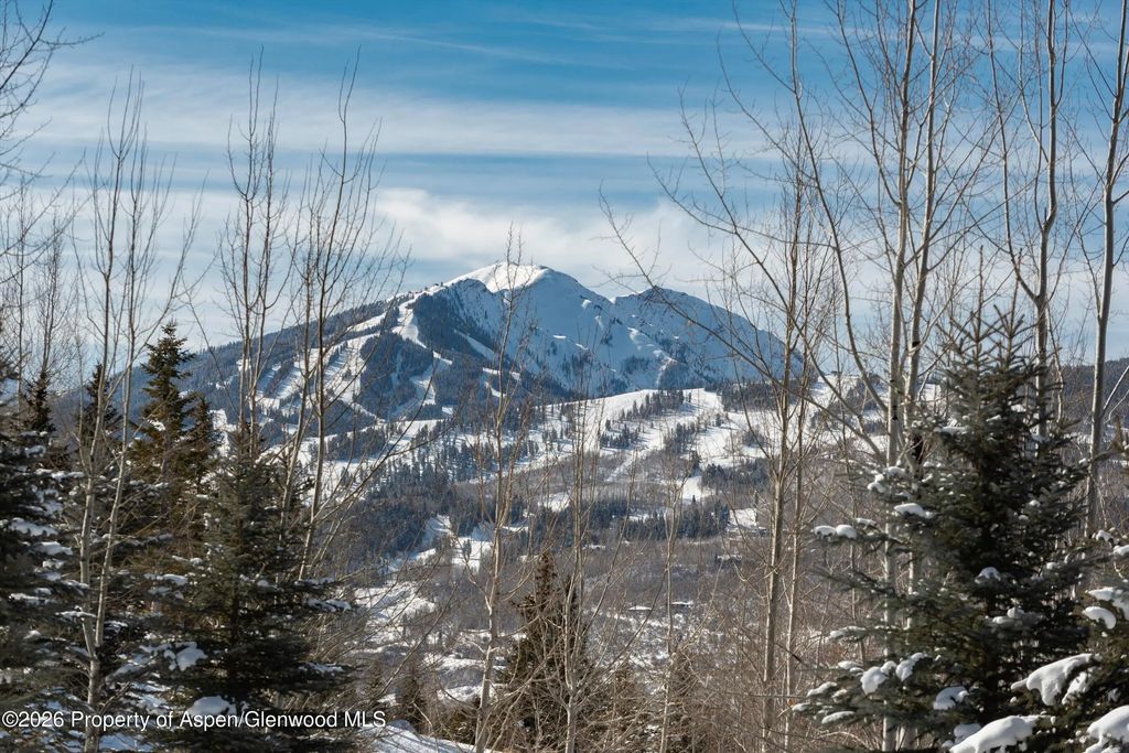 57 of 59 - 372 Sunnyside Lane, Aspen, CO
