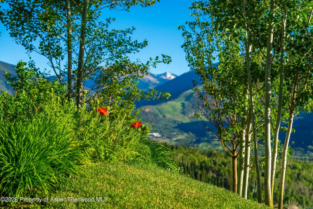 21 of 76 - 542 Carroll Drive, Aspen, CO