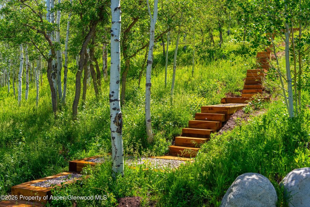 48 of 76 - 542 Carroll Drive, Aspen, CO