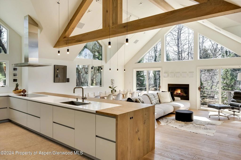 725 Castle Creek Drive, Aspen