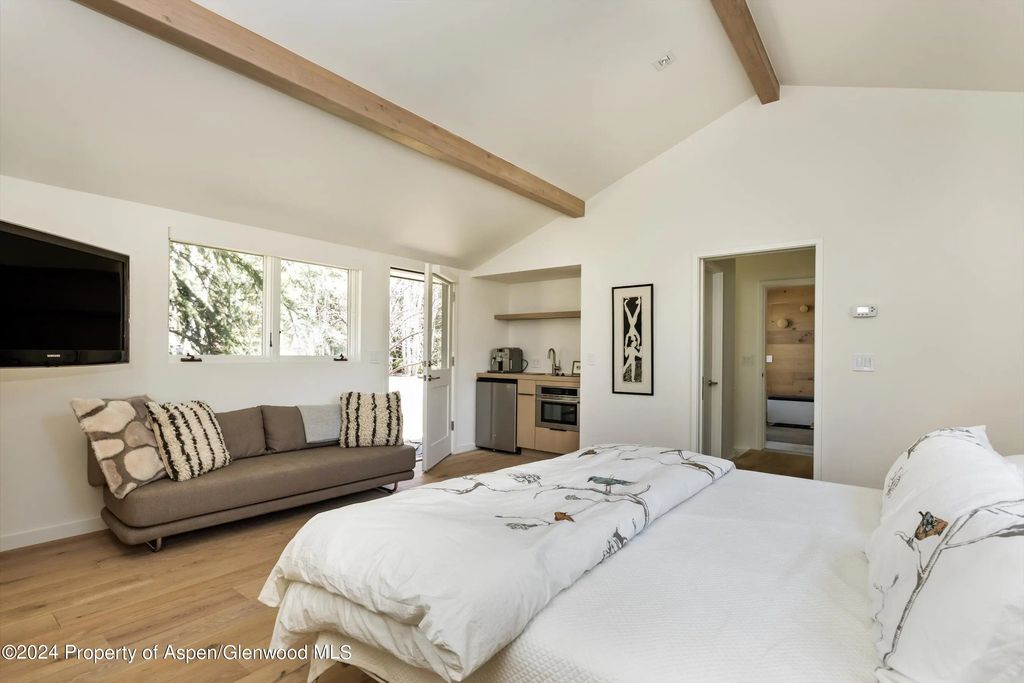 20 of 29 - 725 Castle Creek Drive, Aspen, CO