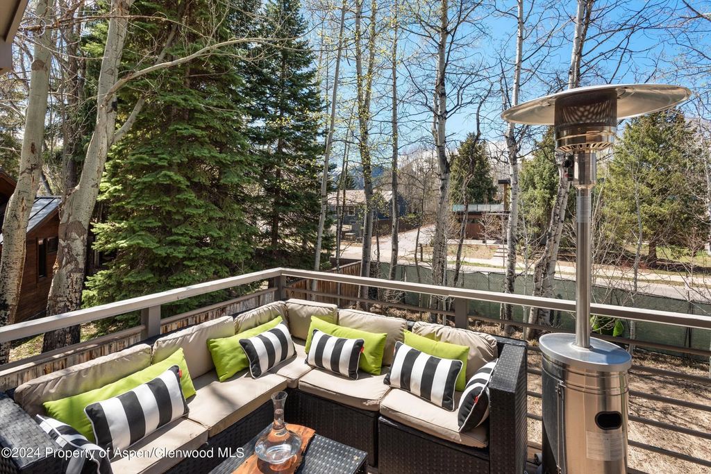 27 of 29 - 725 Castle Creek Drive, Aspen, CO