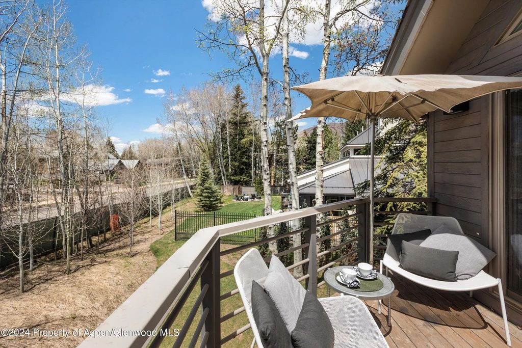 28 of 29 - 725 Castle Creek Drive, Aspen, CO