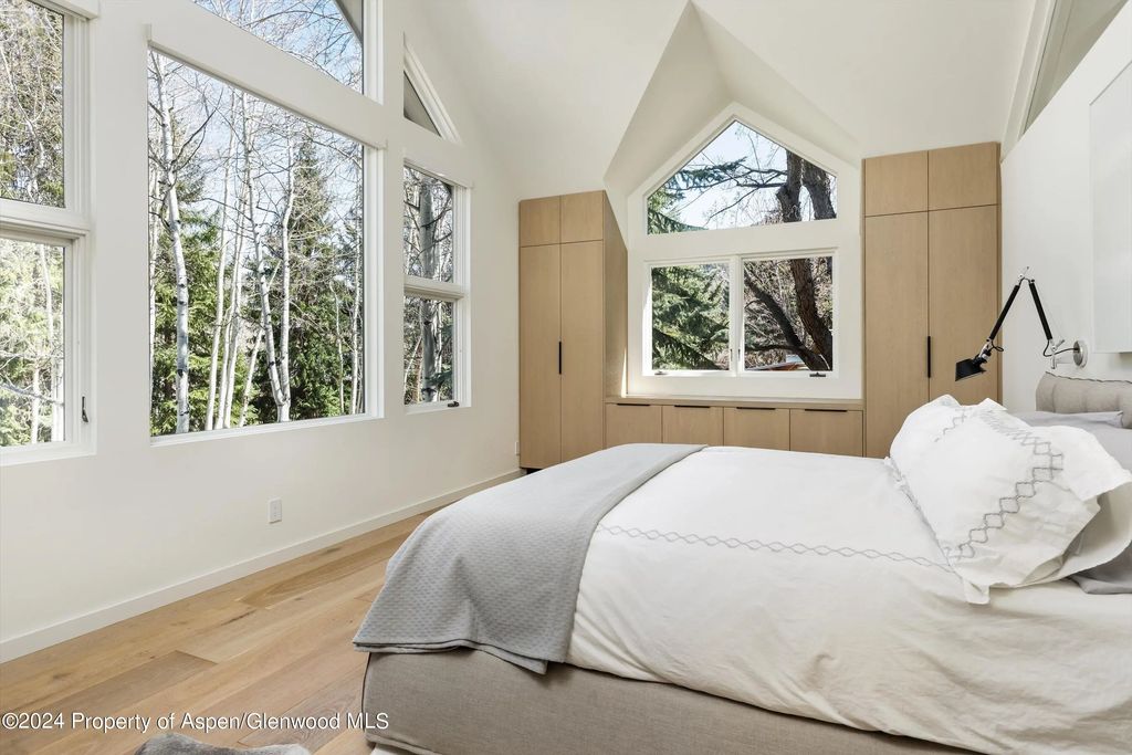 7 of 29 - 725 Castle Creek Drive, Aspen, CO