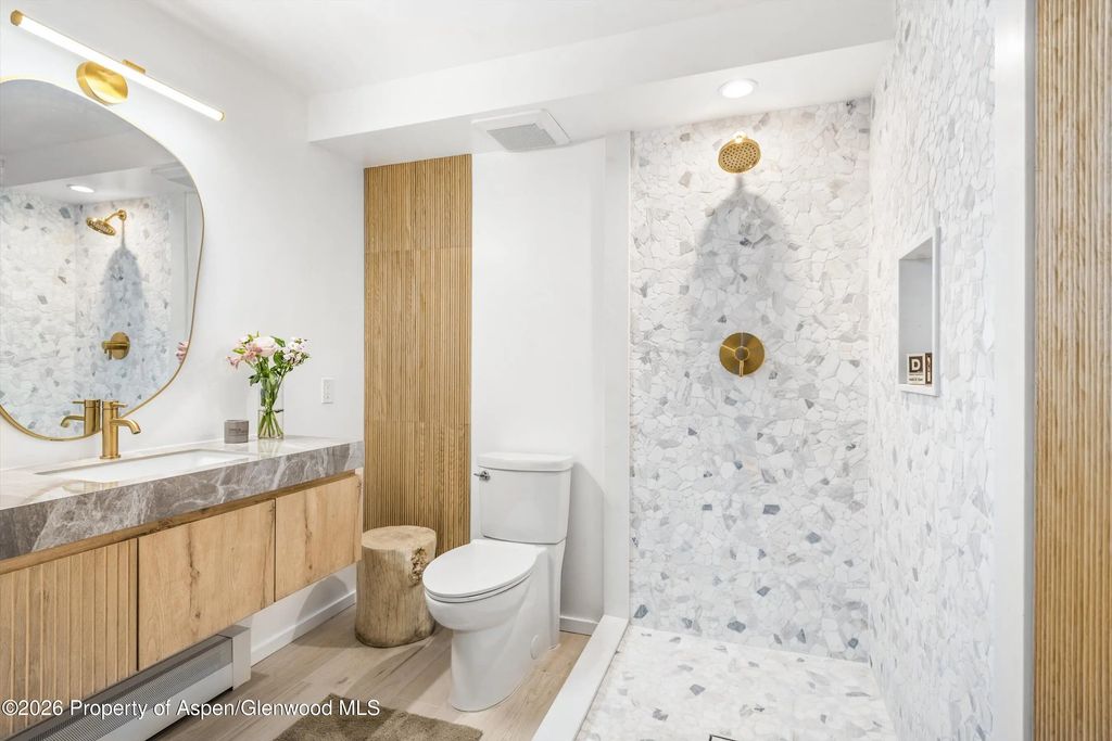 12 of 16 - 901 E Hyman Avenue 14, Aspen, CO