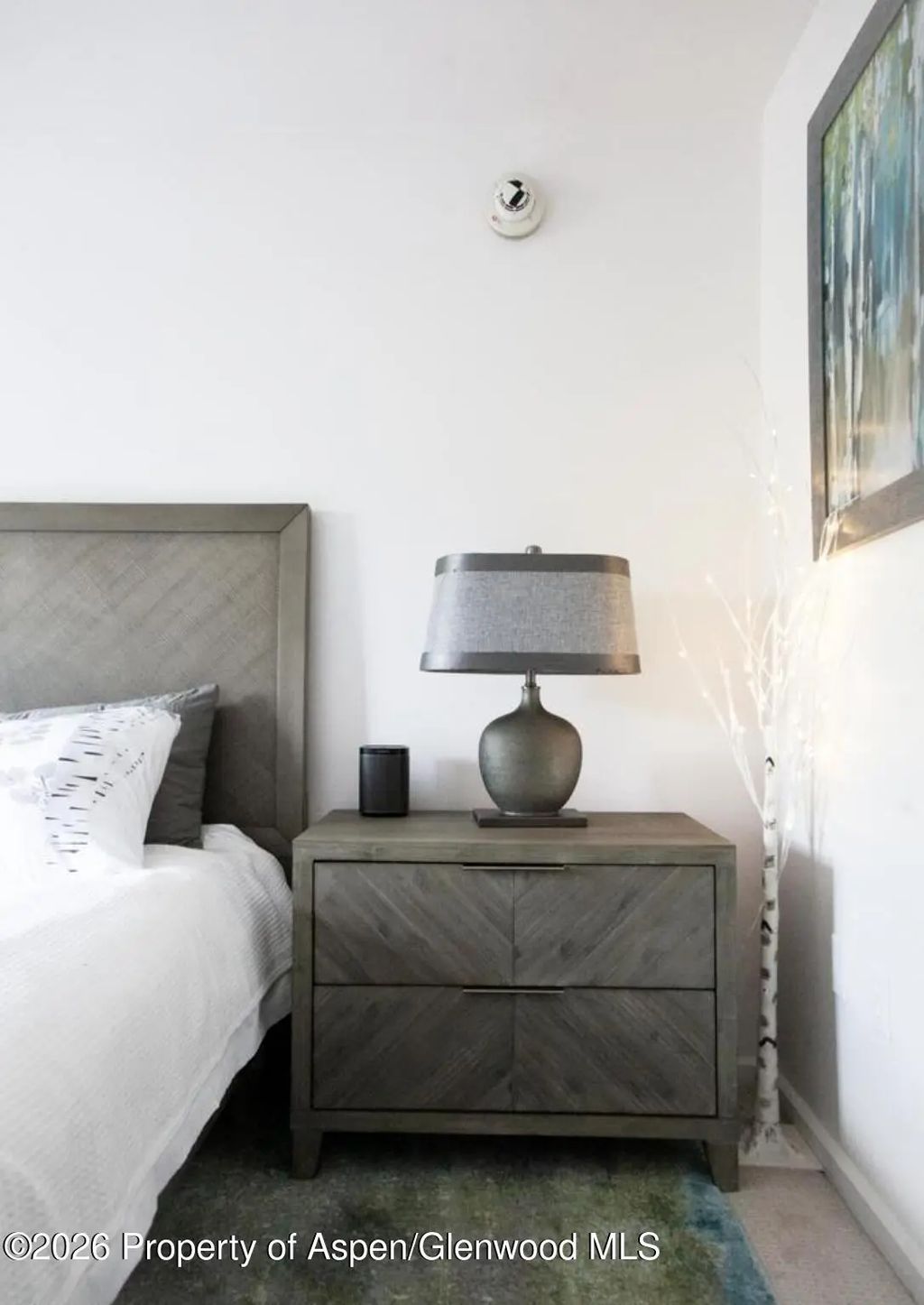 11 of 12 - 210 E Cooper Avenue 3-e, Aspen, CO