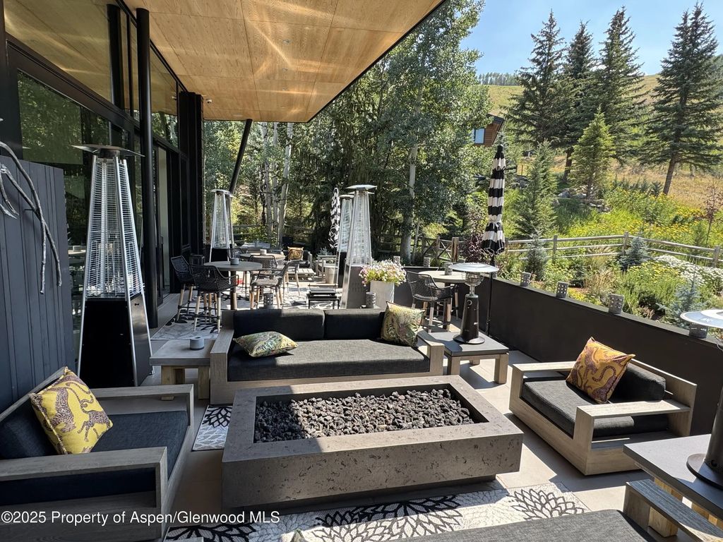 47 of 59 - 296 Glen Dee Road, Aspen, CO