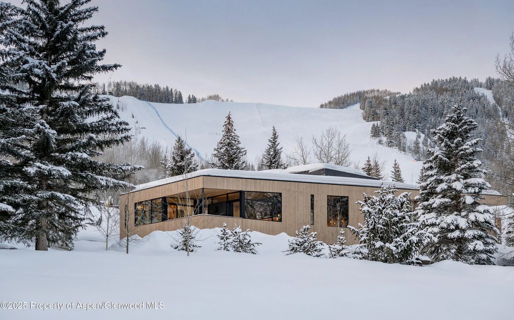 53 of 59 - 296 Glen Dee Road, Aspen, CO