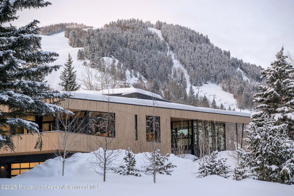54 of 59 - 296 Glen Dee Road, Aspen, CO