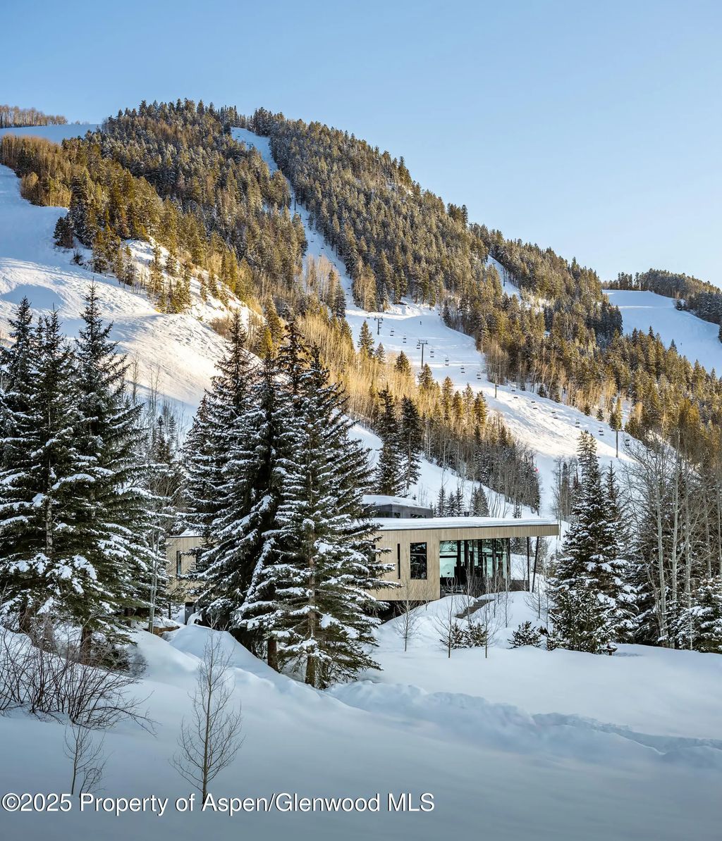 56 of 59 - 296 Glen Dee Road, Aspen, CO