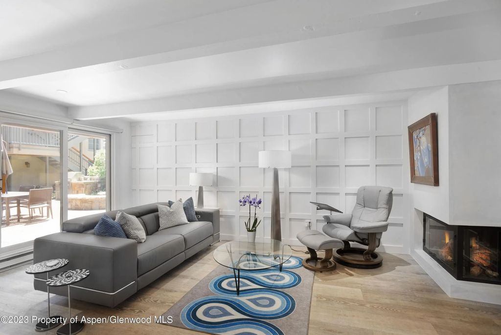 630 E Cooper Avenue 2, Aspen