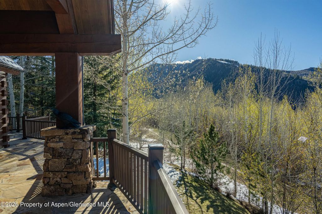 38 of 45 - 56 Five Trees Lane, Aspen, CO