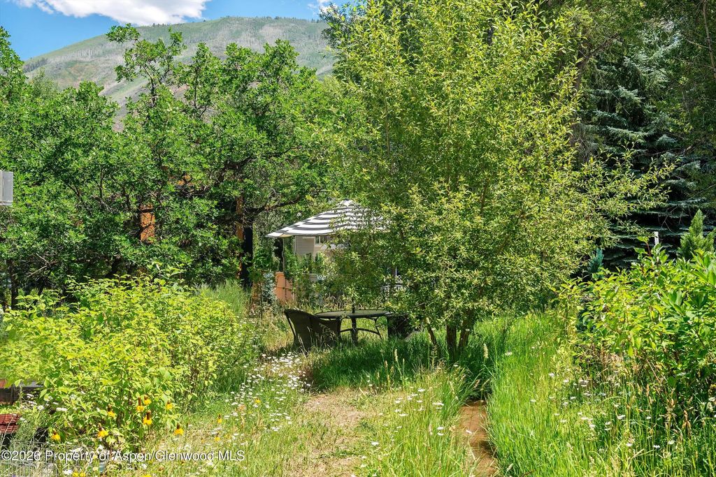 65 of 74 - 813 W Smuggler Street, Aspen, CO
