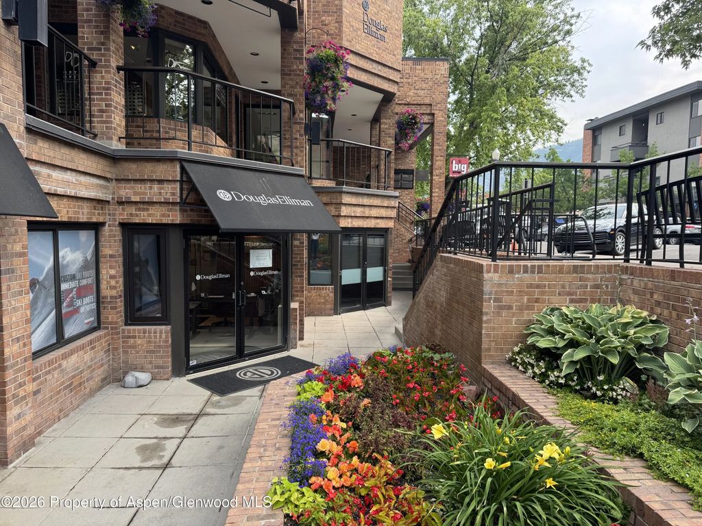 520 E Durant Avenue 102, Aspen