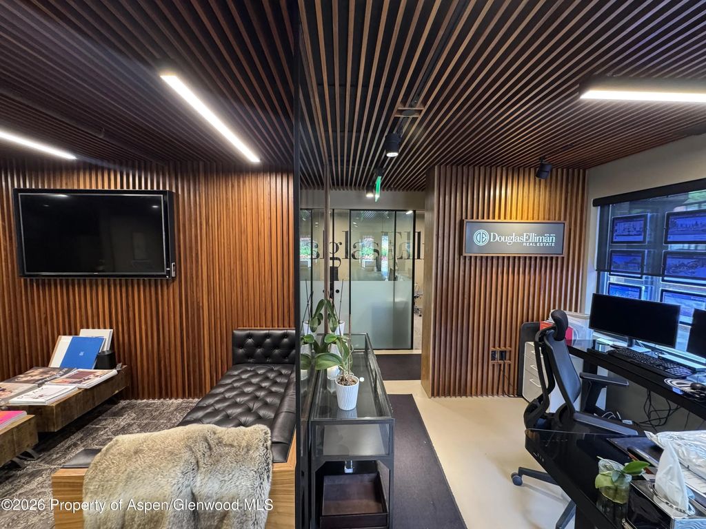 4 of 22 - 520 E Durant Avenue 102, Aspen, CO