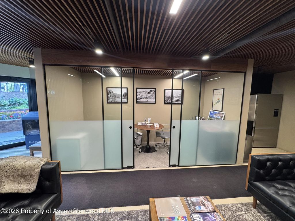 6 of 22 - 520 E Durant Avenue 102, Aspen, CO