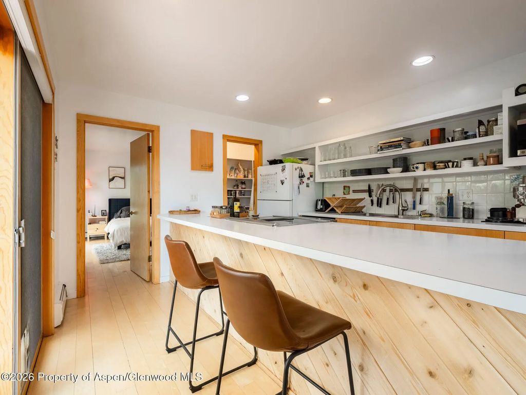 10 of 58 - 216 E Homestead Drive, Basalt, CO