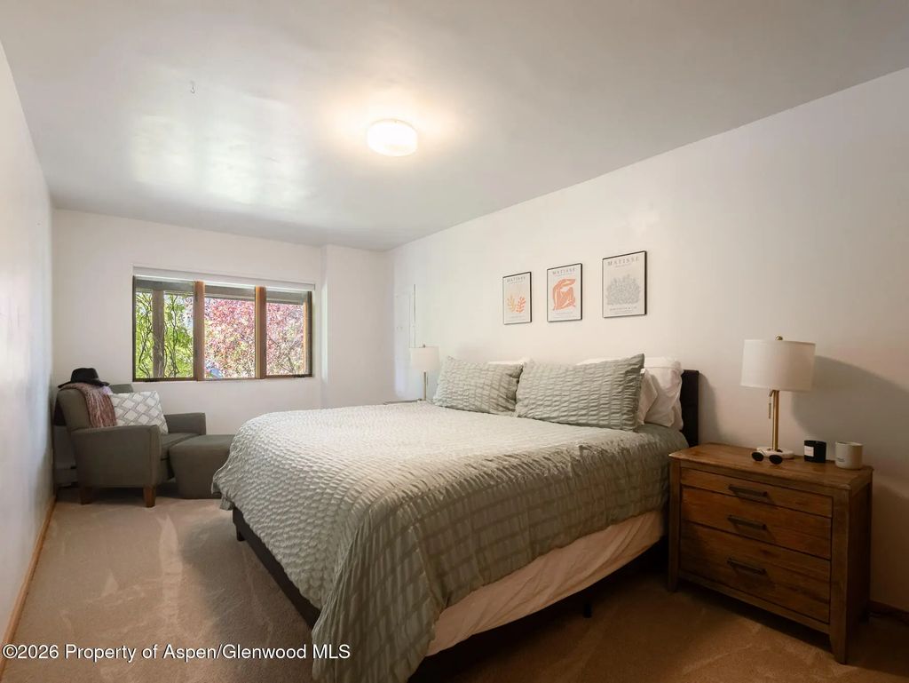 24 of 58 - 216 E Homestead Drive, Basalt, CO