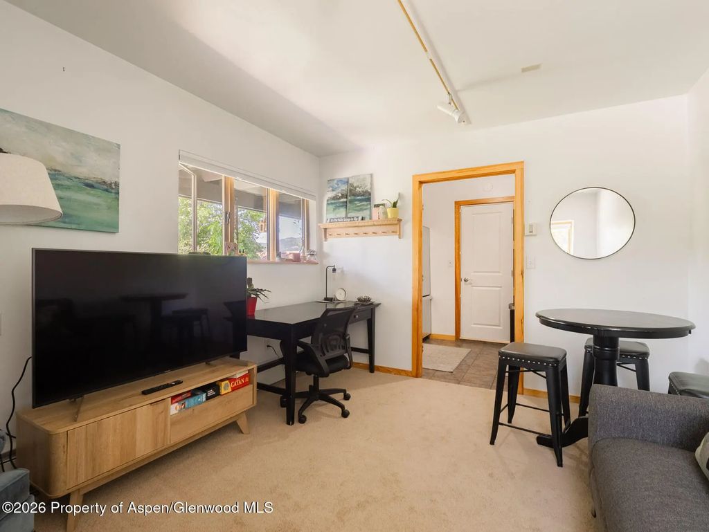 26 of 58 - 216 E Homestead Drive, Basalt, CO