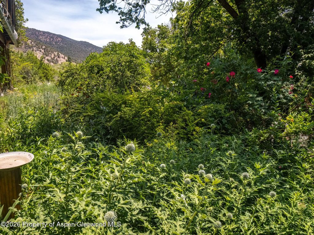 38 of 58 - 216 E Homestead Drive, Basalt, CO