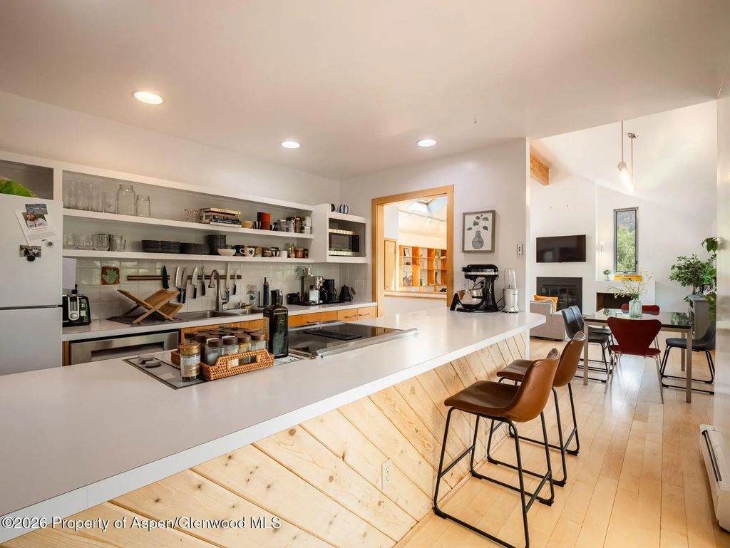 9 of 58 - 216 E Homestead Drive, Basalt, CO