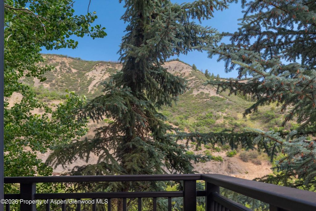 9 of 30 - 60 Carriage Way 3032, Snowmass Village, CO
