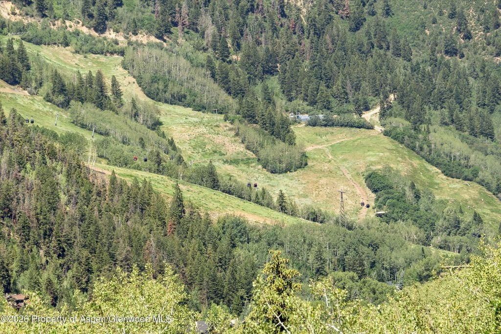 35 of 44 - 268 Mountain Laurel Drive, Aspen, CO
