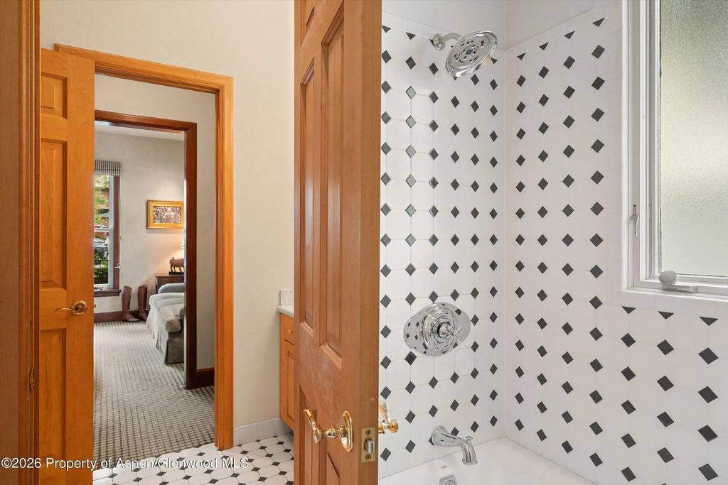 37 of 52 - 620 W Hallam Street, Aspen, CO