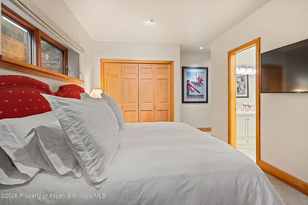 47 of 52 - 620 W Hallam Street, Aspen, CO